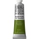 WINTON  SAP GREEN